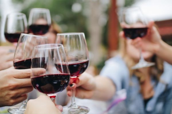 The Ultimate Guide to Finding the Best Wine Warehouse in South Florida