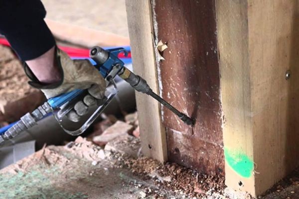 Protect Your Home With Effective Termite Control