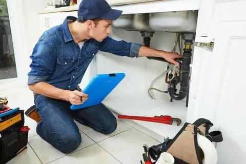 Benefits of Professional Plumbing and Disposal Services