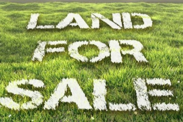 Open Plots in Amaravati: A Thoughtful Approach to Choosing Your Piece of Land
