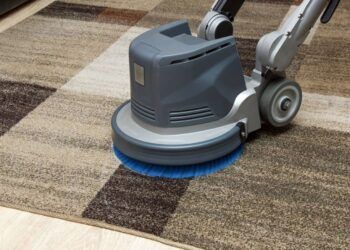 Carpet Cleaning Services Helping Homes Address Carpet Care Before It Becomes Urgent